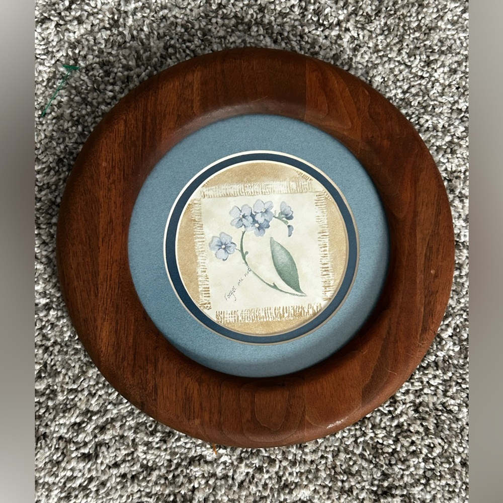 Vintage Framed Forget me Not